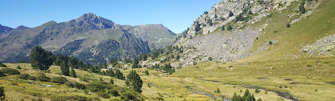 Andora