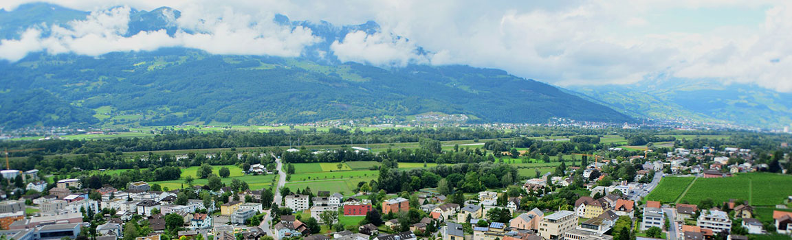 Numer lokalny: 03 (+4233) - Vaduz, Liechtenstein