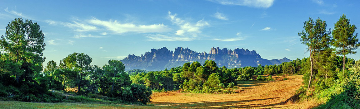 Numer lokalny: 664 (+1664) - Plymouth, Montserrat