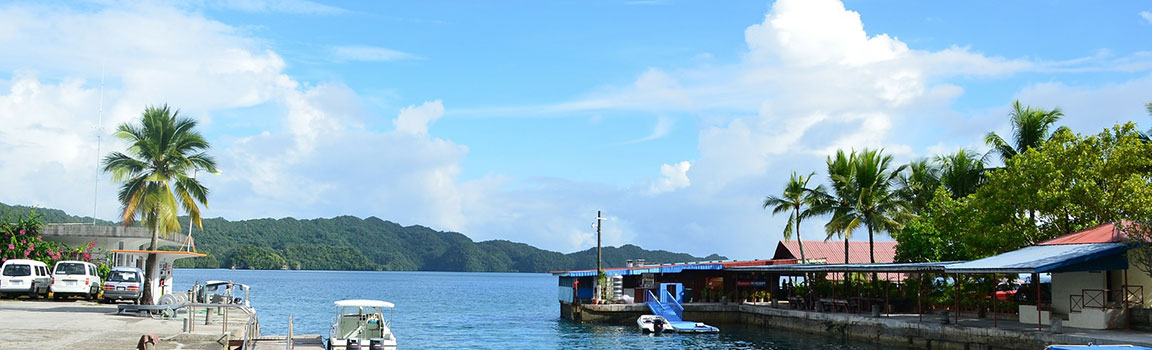 Numer lokalny: 0544 (+680544) - Aimeliik, Palau