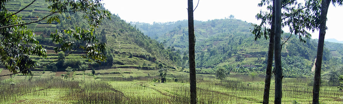 Numer lokalny: 04 (+2504) - Gisenyi, Rwanda