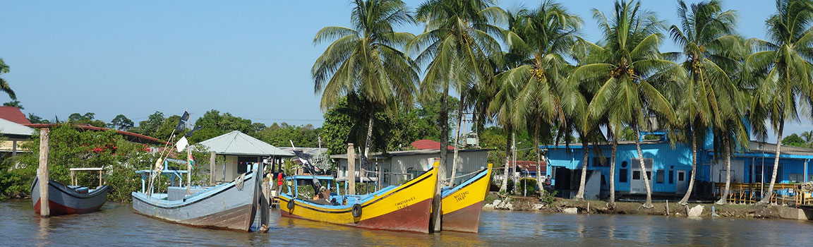 Numer lokalny: 04 (+5974) - Paramaribo, Surinam