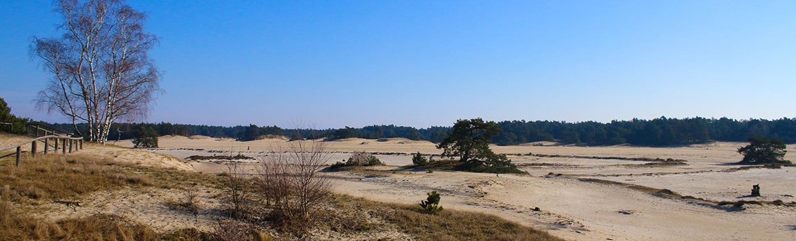 Numer lokalny: 0341 (+31341) - Harderwijk, Holandia