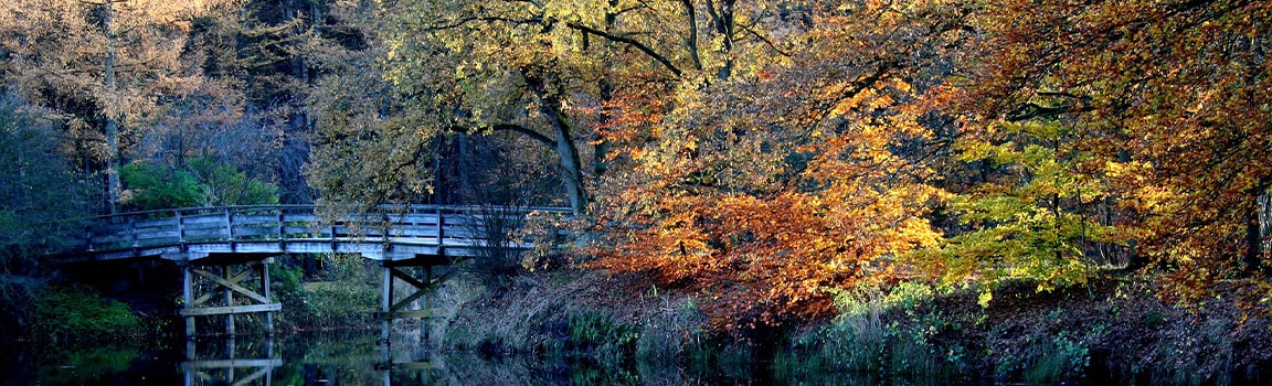 Numer lokalny: 035 (+3135) - Hilversum, Holandia